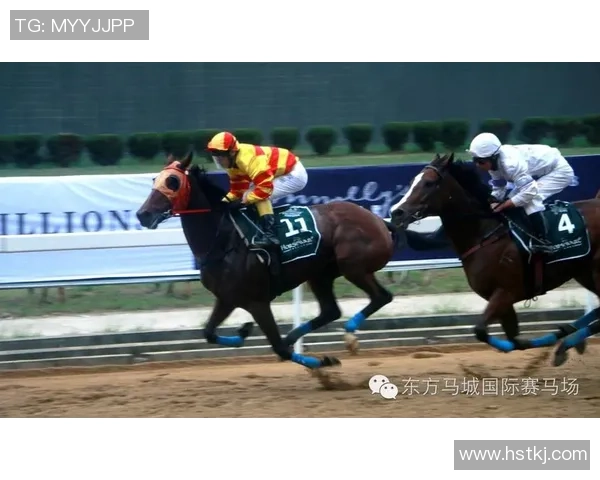 重庆乒乓球队在联合会杯中的速度表现分析与精彩瞬间回顾